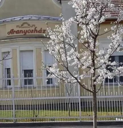 Aranyoshaz-vendeghaz * Budapeşte